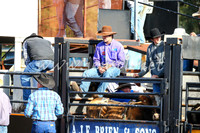 CoonambleRodeoCampdraftSat_0366