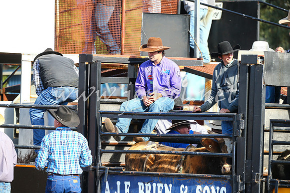 CoonambleRodeoCampdraftSat_0366