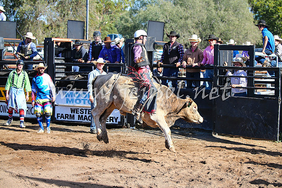 CoonambleRodeoCampdraftSat_0586