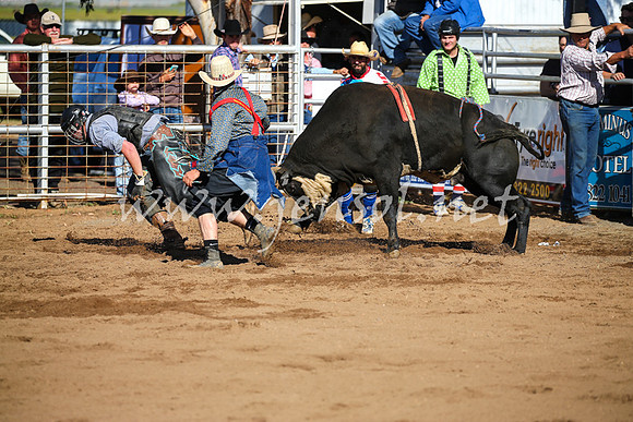 CoonambleRodeoCampdraftSat_0620