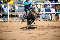 CoonambleRodeoCampdraftSat_0381
