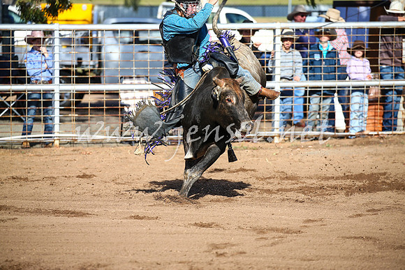 CoonambleRodeoCampdraftSat_0381