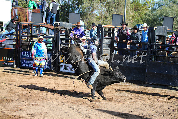 CoonambleRodeoCampdraftSat_0568