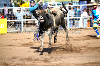CoonambleRodeoCampdraftSat_0386