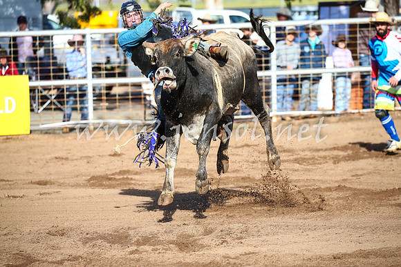 CoonambleRodeoCampdraftSat_0386