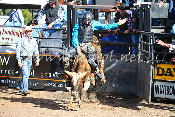 CoonambleRodeoCampdraftSat_0418