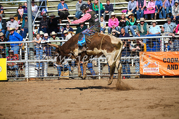 CoonambleRodeoCampdraftSat_0866
