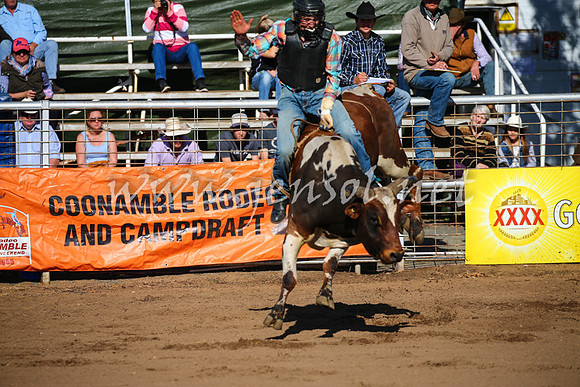 CoonambleRodeoCampdraftSat_0641