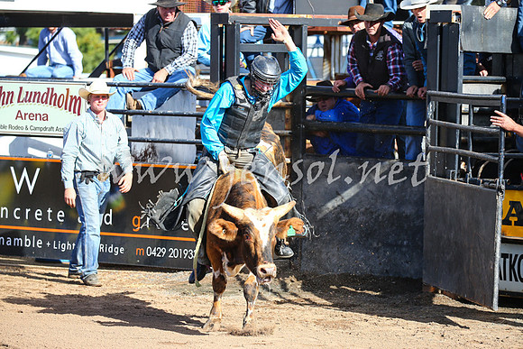 CoonambleRodeoCampdraftSat_0415