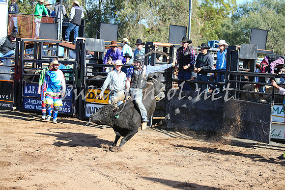 CoonambleRodeoCampdraftSat_0554