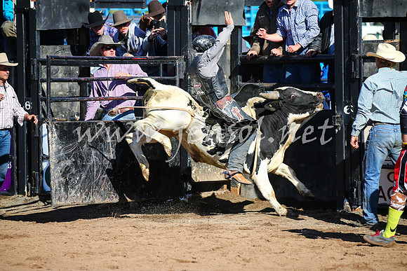 CoonambleRodeoCampdraftSat_0651