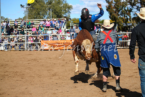 CoonambleRodeoCampdraftSat_0870