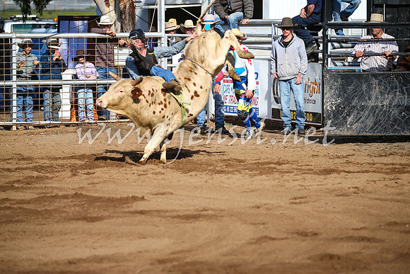 CoonambleRodeoCampdraftSat_0395
