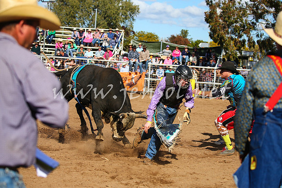 CoonambleRodeoCampdraftSat_0880