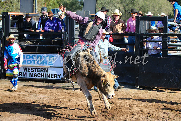 CoonambleRodeoCampdraftSat_0595
