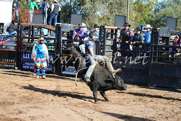 CoonambleRodeoCampdraftSat_0564
