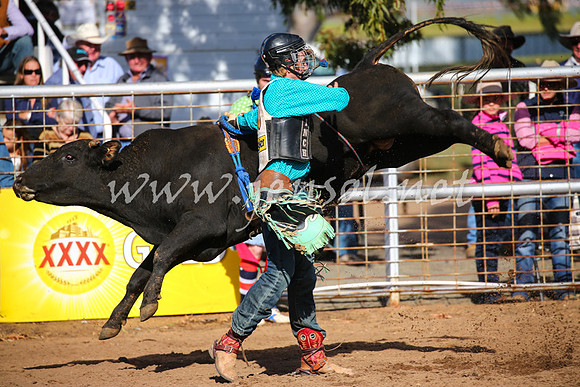 CoonambleRodeoCampdraftSat_0466