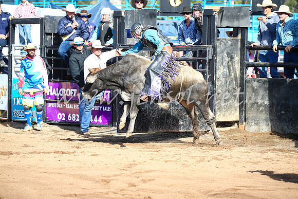 CoonambleRodeoCampdraftSat_0369