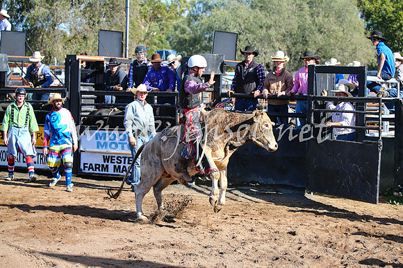 CoonambleRodeoCampdraftSat_0582