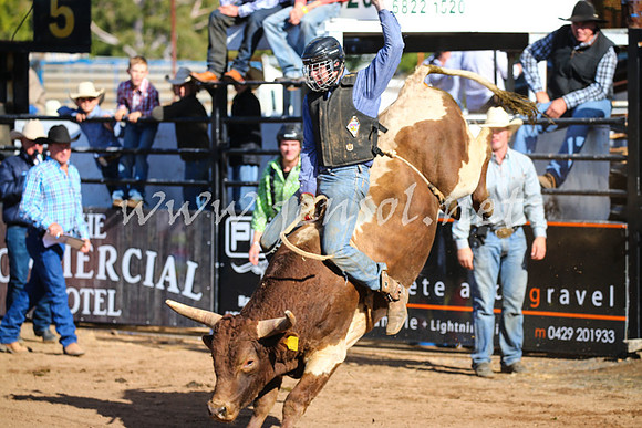 CoonambleRodeoCampdraftSat_0487
