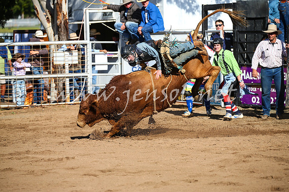 CoonambleRodeoCampdraftSat_0600