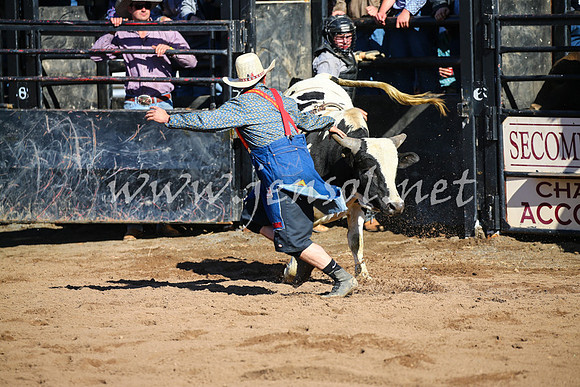 CoonambleRodeoCampdraftSat_0668