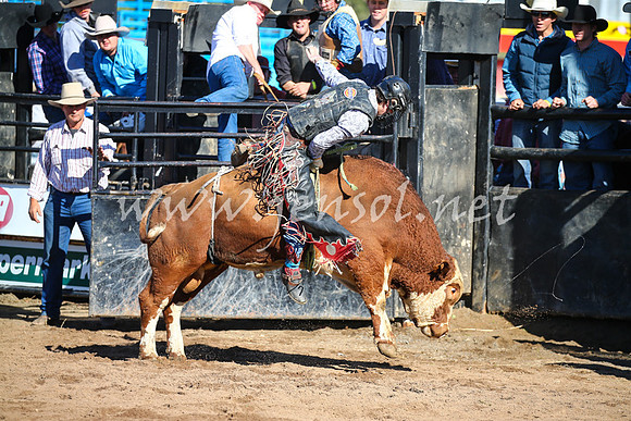 CoonambleRodeoCampdraftSat_0730
