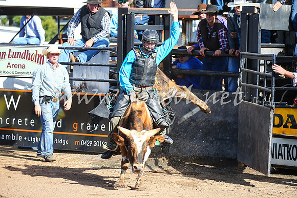 CoonambleRodeoCampdraftSat_0417