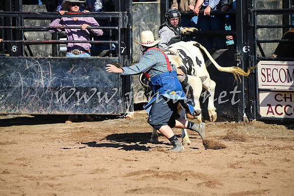 CoonambleRodeoCampdraftSat_0666