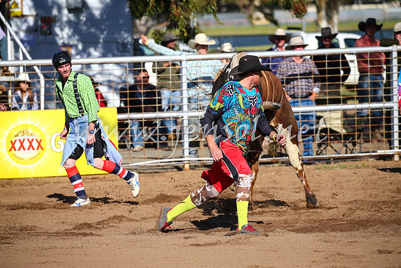 CoonambleRodeoCampdraftSat_0647