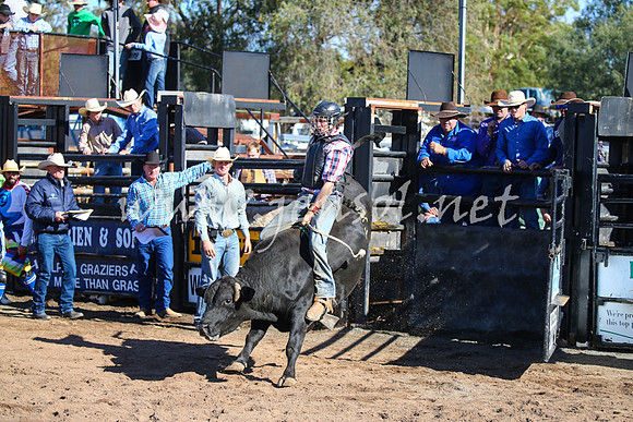 CoonambleRodeoCampdraftSat_0697