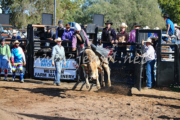 CoonambleRodeoCampdraftSat_0572