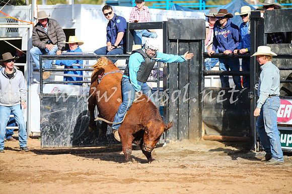 CoonambleRodeoCampdraftSat_0404