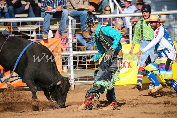 CoonambleRodeoCampdraftSat_0468