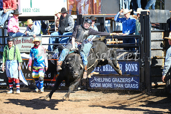 CoonambleRodeoCampdraftSat_0679