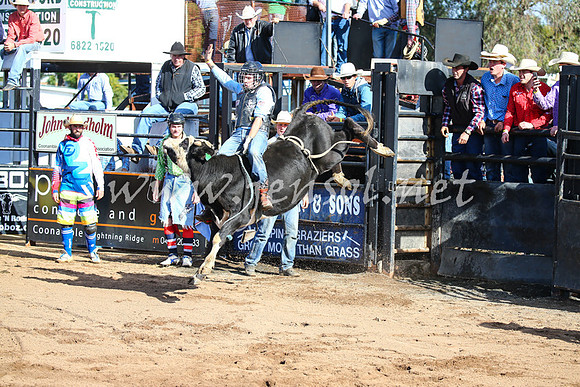 CoonambleRodeoCampdraftSat_0443