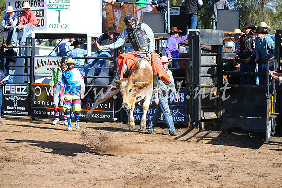 CoonambleRodeoCampdraftSat_0514