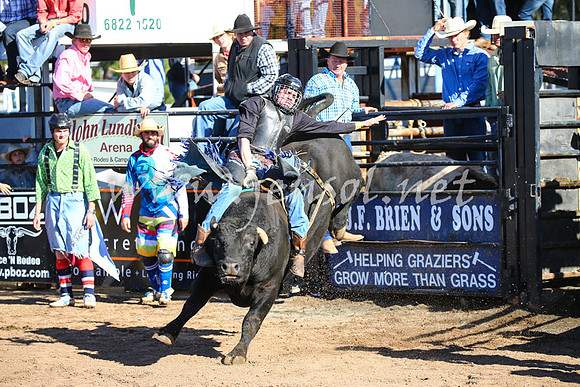CoonambleRodeoCampdraftSat_0685