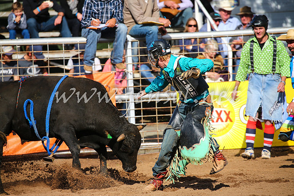 CoonambleRodeoCampdraftSat_0471
