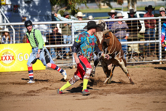 CoonambleRodeoCampdraftSat_0645