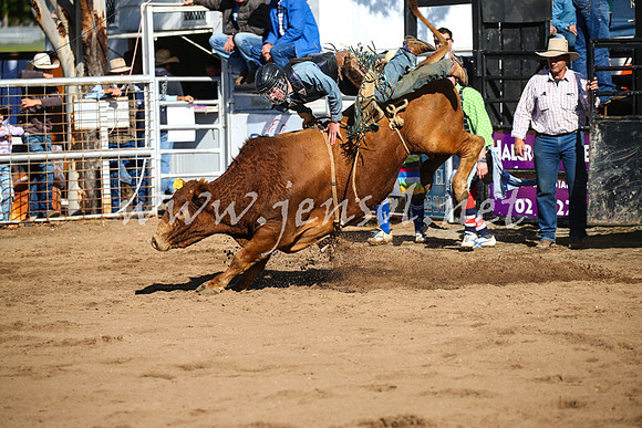 CoonambleRodeoCampdraftSat_0598