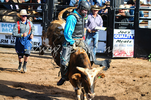 CoonambleRodeoCampdraftSat_0429