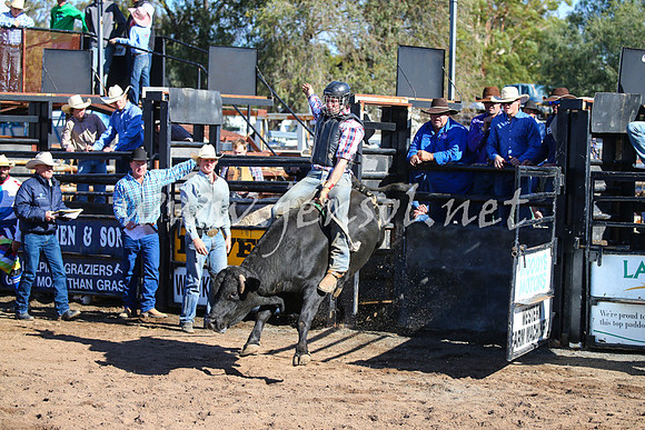 CoonambleRodeoCampdraftSat_0695