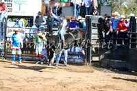CoonambleRodeoCampdraftSat_0436