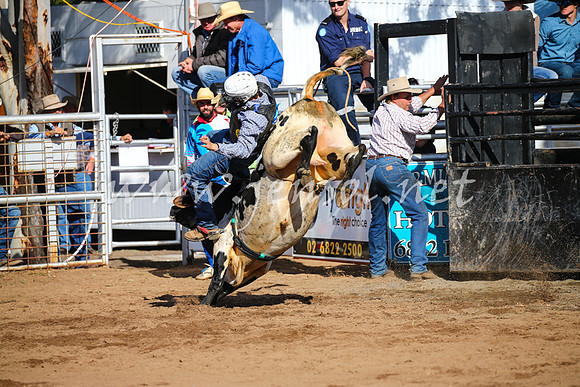CoonambleRodeoCampdraftSat_0482
