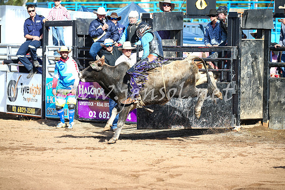CoonambleRodeoCampdraftSat_0376