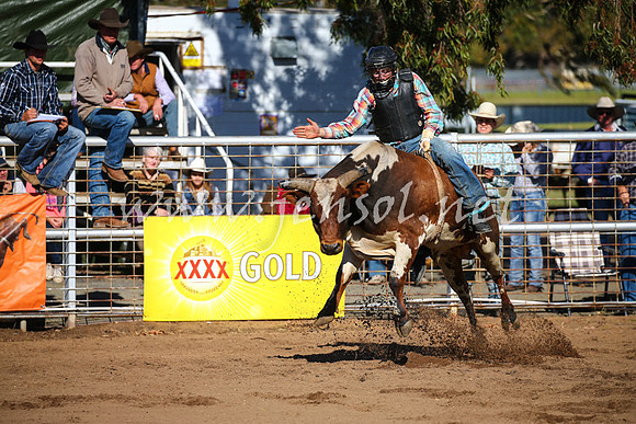 CoonambleRodeoCampdraftSat_0636