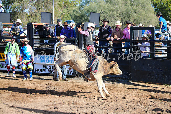CoonambleRodeoCampdraftSat_0587