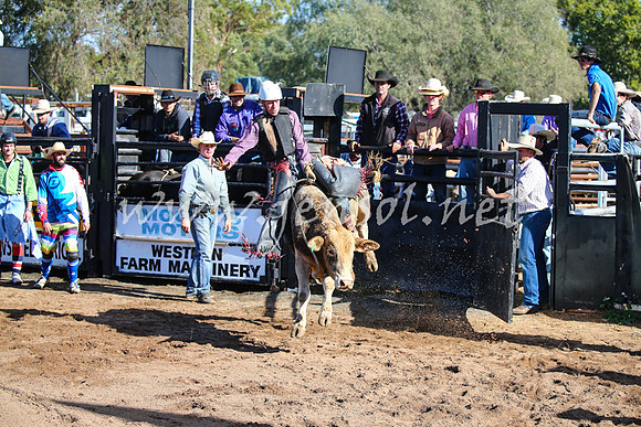 CoonambleRodeoCampdraftSat_0573