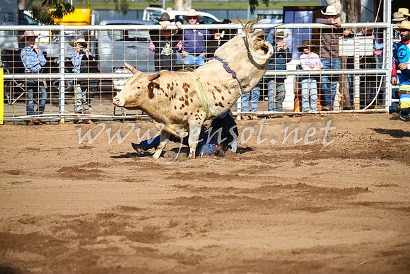 CoonambleRodeoCampdraftSat_0396